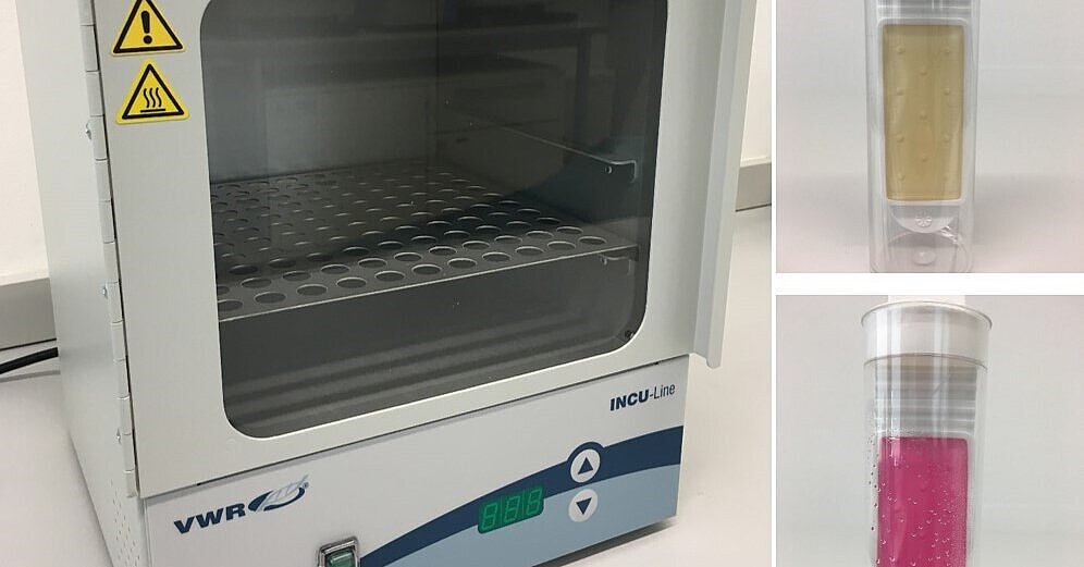 Bacterial contamination