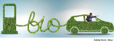 The wide range of biofuels 
