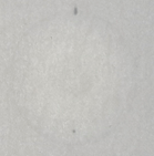 Transmission oil | Ferrari Daytona 365