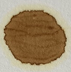 Engine oil | Jaguar XJ 3.0 l