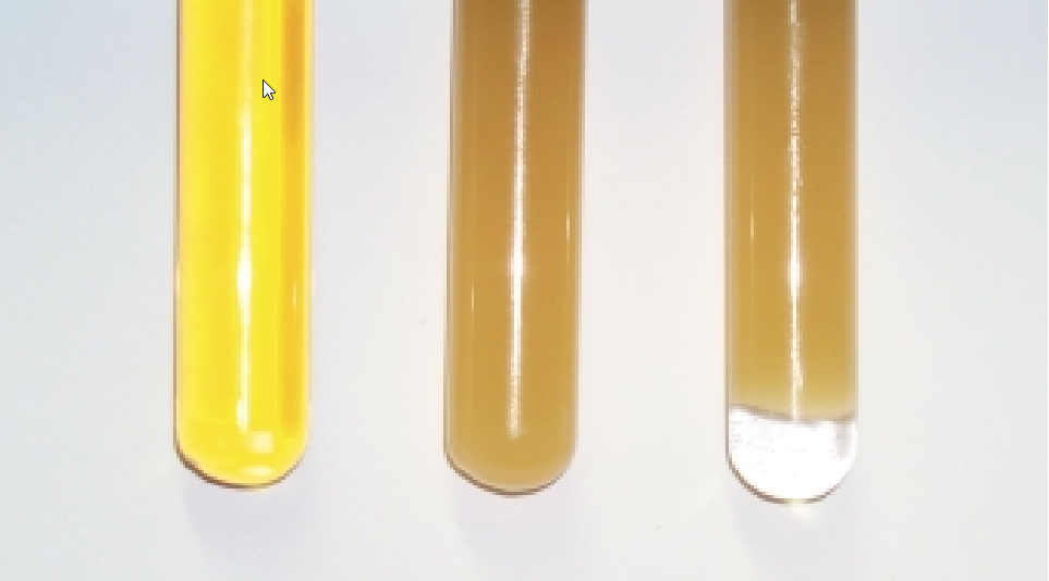 Hydraulic oil with different water contents